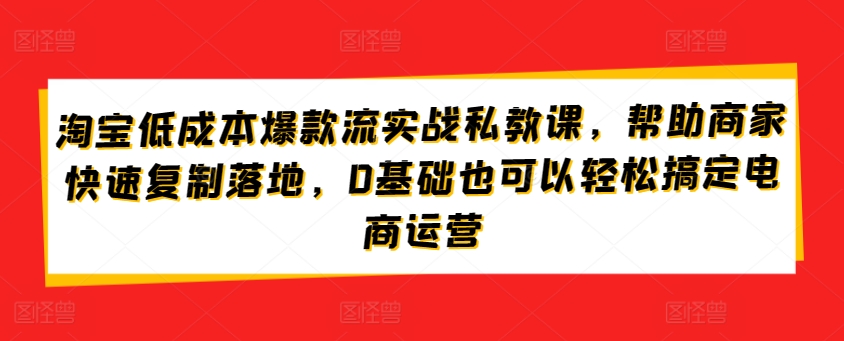 淘宝低成本爆款流实战私教课，帮助商家快速复制落地，0基础也可以轻松搞定电商运营_微雨项目网