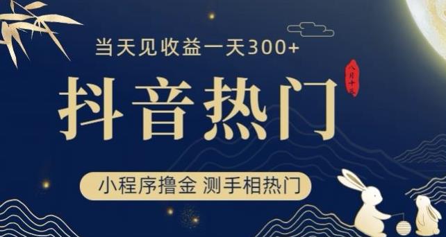 抖音最新小程序撸金，测手相上热门，当天见收益一小时变现300+【揭秘】_微雨项目网