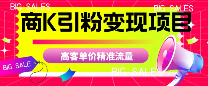 商K引粉变现项目，高客单价精准流量【揭秘】_微雨项目网