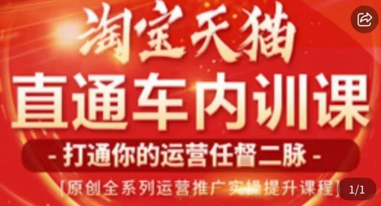 天问电商·2023淘宝天猫直通车内训课，零基础学起直通车运营实操课程_微雨项目网