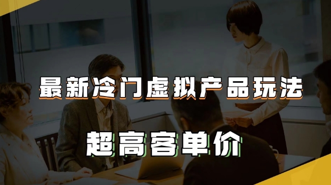 最新冷门虚拟产品玩法，超高客单价，月入2-3万＋【揭秘】_微雨项目网