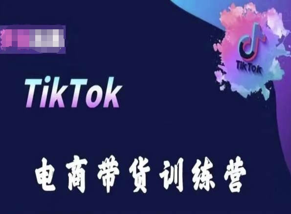 TikTok电商带货训练营，跟随时代潮流，跨境掘金_微雨项目网