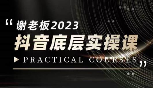 蟹老板·2023抖音底层实操课，打造短视频的底层认知_微雨项目网