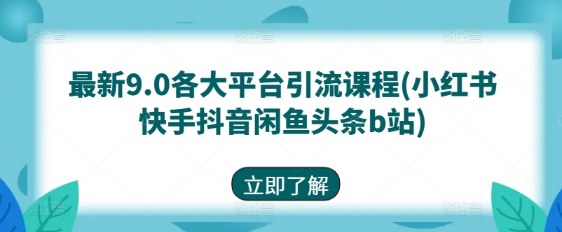 最新9.0各大平台引流课程(小红书快手抖音闲鱼头条b站)_微雨项目网