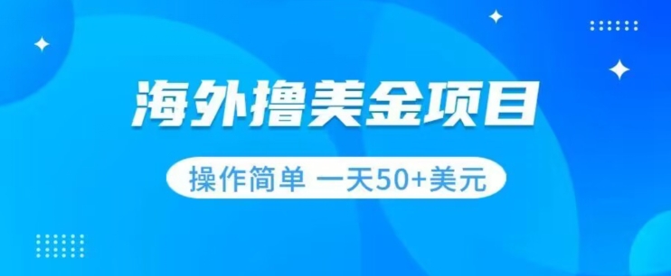 撸美金项目无门槛操作简单小白一天50+美刀_微雨项目网