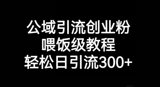 公域引流创业粉，喂饭级教程，轻松日引流300+【揭秘】_微雨项目网