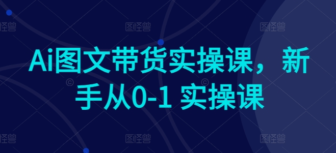 Ai图文带货实操课，新手从0-1 实操课_微雨项目网