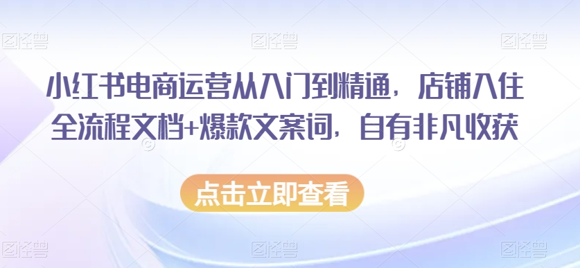 小红书电商运营从入门到精通，店铺入住全流程文档+爆款文案词，自有非凡收获_微雨项目网