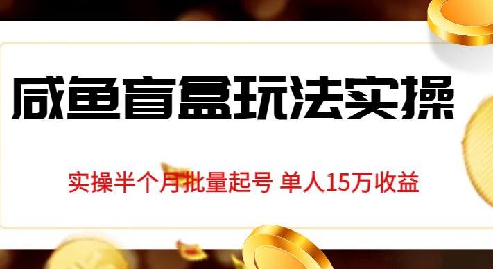 独家首发咸鱼盲盒玩法实操，半个月批量起号单人15万收益【揭秘】_微雨项目网