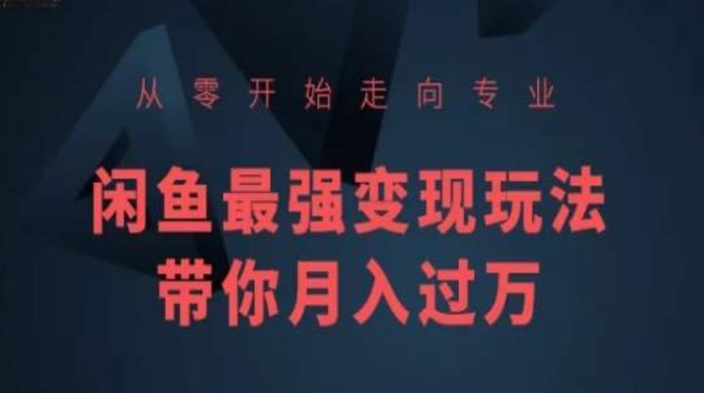 从零开始走向专业，闲鱼最强变现玩法带你月入过万_微雨项目网