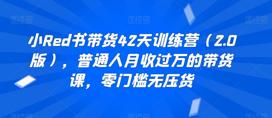 小Red书带货42天训练营（2.0版），普通人月收过万的带货课，零门槛无压货_微雨项目网