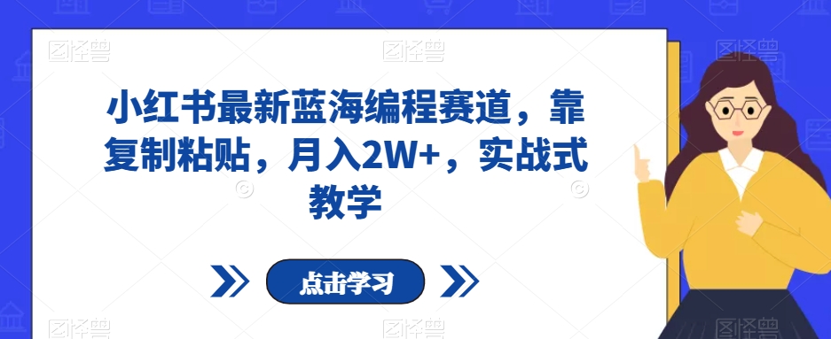 小红书最新蓝海编程赛道，靠复制粘贴，月入2W+，实战式教学【揭秘】_微雨项目网