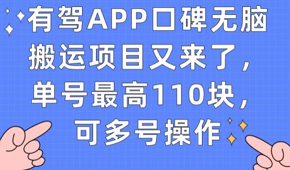 有驾APP口碑无脑搬运项目又来了，单号最高110块，可多号操作_微雨项目网