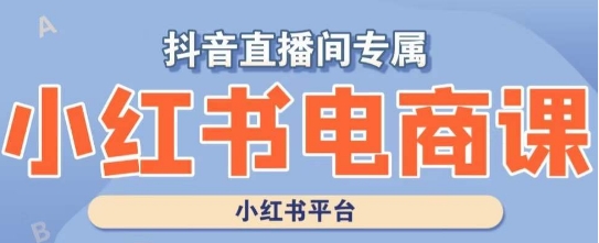 小红书电商高级运营课程，实操教学+案例分析_微雨项目网