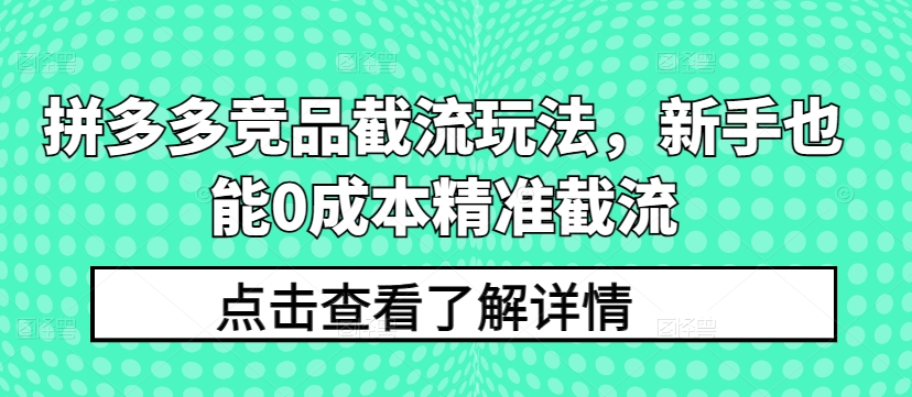 拼多多竞品截流玩法，新手也能0成本精准截流_微雨项目网