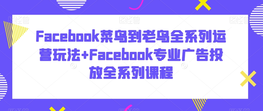 Facebook菜鸟到老鸟全系列运营玩法+Facebook专业广告投放全系列课程_微雨项目网