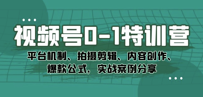 视频号0-1特训营：平台机制、拍摄剪辑、内容创作、爆款公式，实战案例分享_微雨项目网