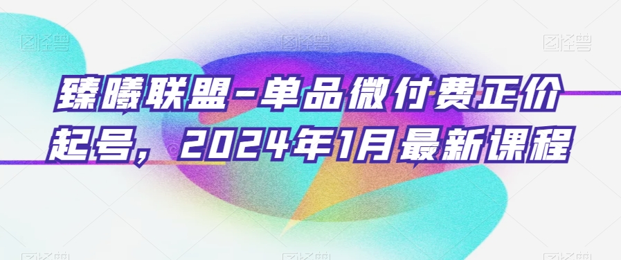 臻曦联盟-单品微付费正价起号，2024年1月最新课程_微雨项目网