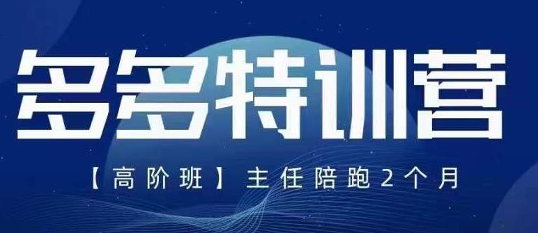 纪主任·5月最新多多特训营高阶班，玩法落地实操，多多全掌握_微雨项目网