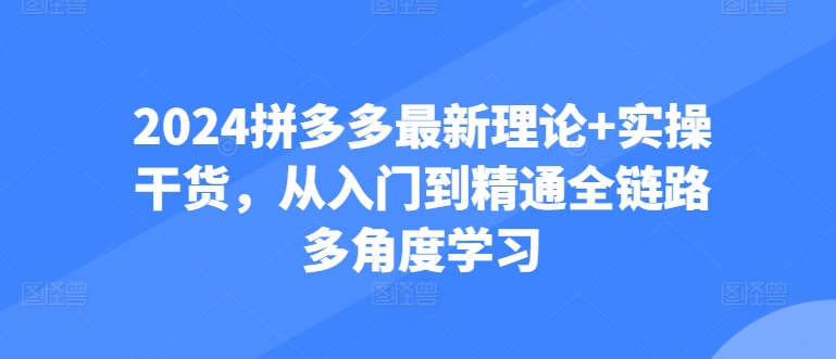 2024拼多多最新理论+实操干货，从入门到精通全链路多角度学习_微雨项目网