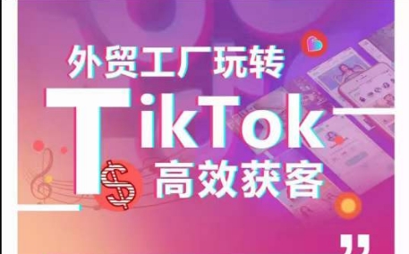 外贸工厂玩转TikTok高效获客，多种引流方式与账号定位技巧，拆解爆款短视频打造成功案例_微雨项目网