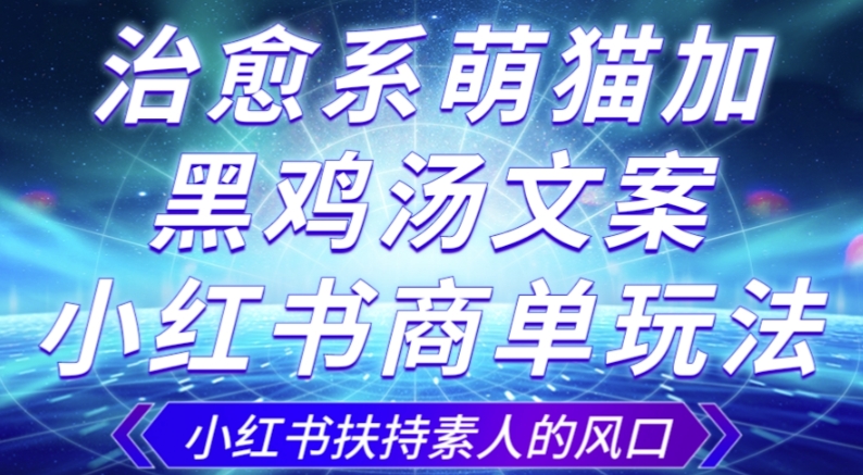 治愈系萌猫加+黑鸡汤文案，小红书商单玩法，3~10天涨到1000粉，一单200左右_微雨项目网