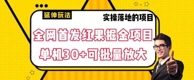 全网首发红果免费短剧掘金项目，单机30+可批量放大【揭秘】_微雨项目网