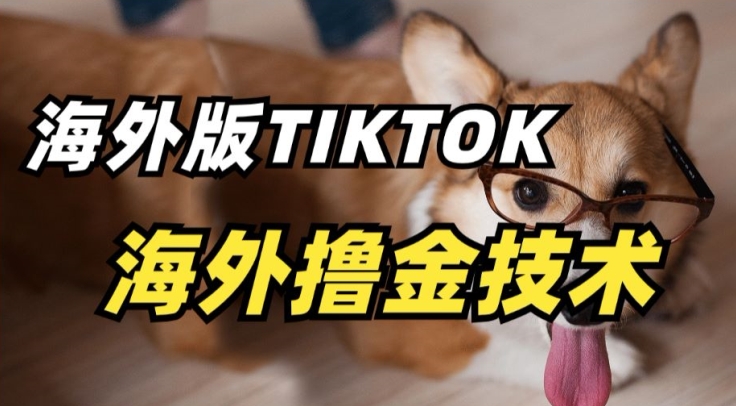 抖音海外版tiktok撸金技术，这个风口行业，赚钱真的不难【揭秘】_微雨项目网