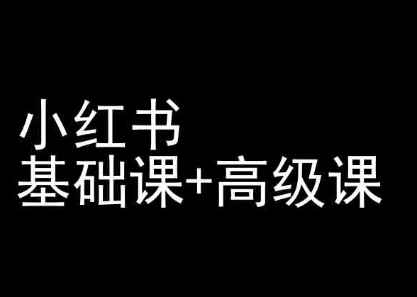 小红书基础课+高级课-小红书运营教程_微雨项目网