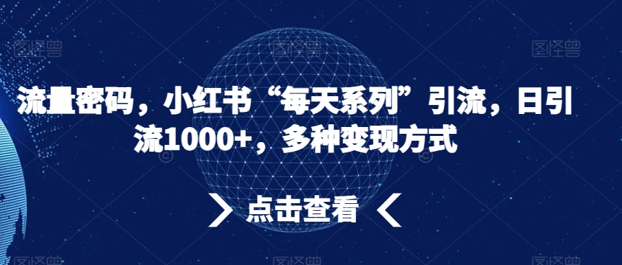 流量密码，小红书“每天系列”引流，日引流1000+，多种变现方式【揭秘】_微雨项目网