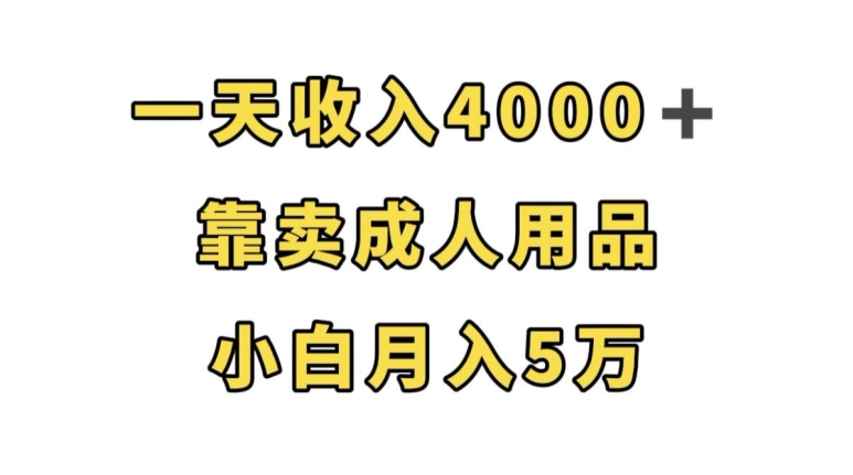 一天收入4000+，靠卖成人用品，小白轻松月入5万【揭秘】_微雨项目网