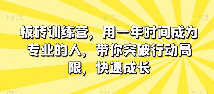 板砖训练营，用一年时间成为专业的人，带你突破行动局限，快速成长_微雨项目网