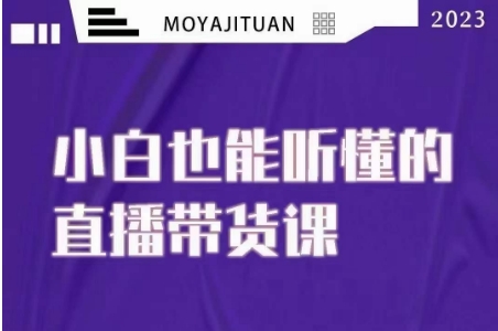 大威本威·能听懂的直播带货课，小白也能听懂，20节完整_微雨项目网