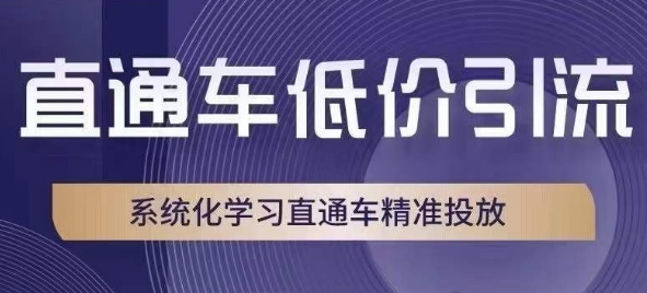 直通车低价引流课，系统化学习直通车精准投放_微雨项目网