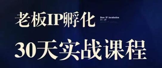 诸葛·2023老板IP实战课，实体同城引流获客，IP孵化必听_微雨项目网