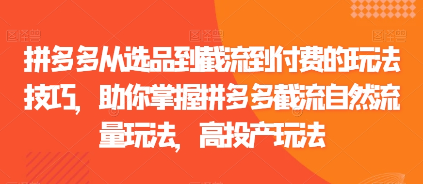 拼多多从选品到截流到付费的玩法技巧，助你掌握拼多多截流自然流量玩法，高投产玩法_微雨项目网