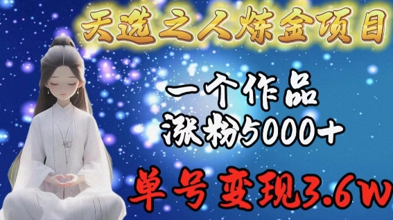 天选之人炼金项目，一个作品涨粉5000+，单号变现3.6w【揭秘】_微雨项目网