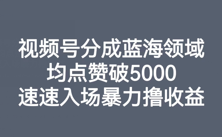 视频号分成蓝海领域，均点赞破5000，速速入场暴力撸收益_微雨项目网