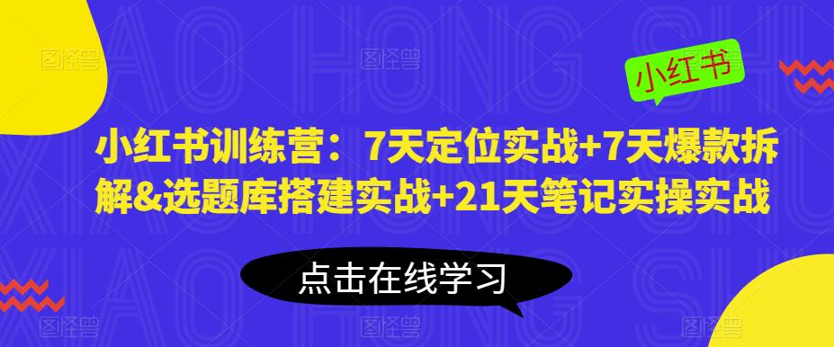 小红书训练营：7天定位实战+7天爆款拆解&选题库搭建实战+21天笔记实操实战_微雨项目网