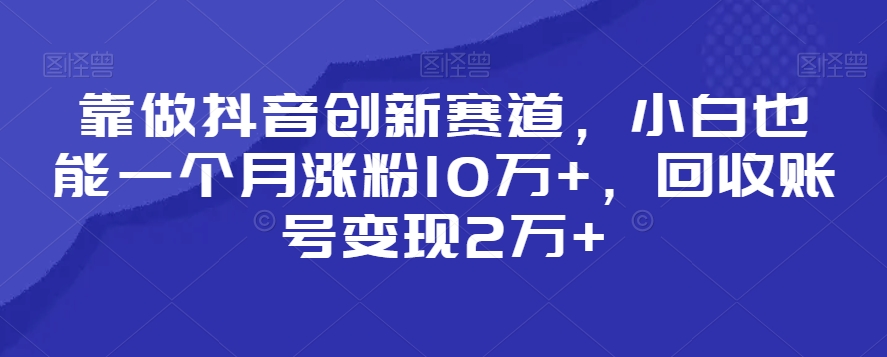 靠做抖音创新赛道，小白也能一个月涨粉10万+，回收账号变现2万+【揭秘】_微雨项目网