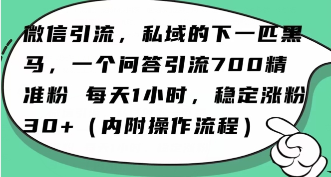 怎么搞精准创业粉？微信新赛道，每天一小时，利用Ai一个问答日引100精准粉_微雨项目网