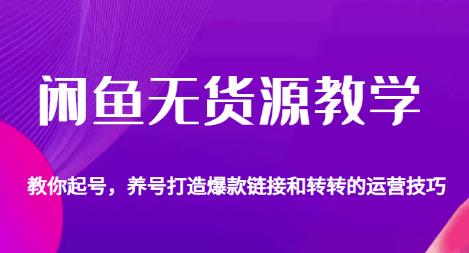 闲鱼无货源教学，教你起号，养号打造爆款链接以及转转的运营技巧_微雨项目网