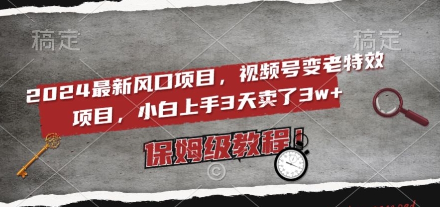 2024最新风口项目，视频号变老特效项目，电脑小白上手3天卖了3w+，保姆级教程【揭秘】_微雨项目网