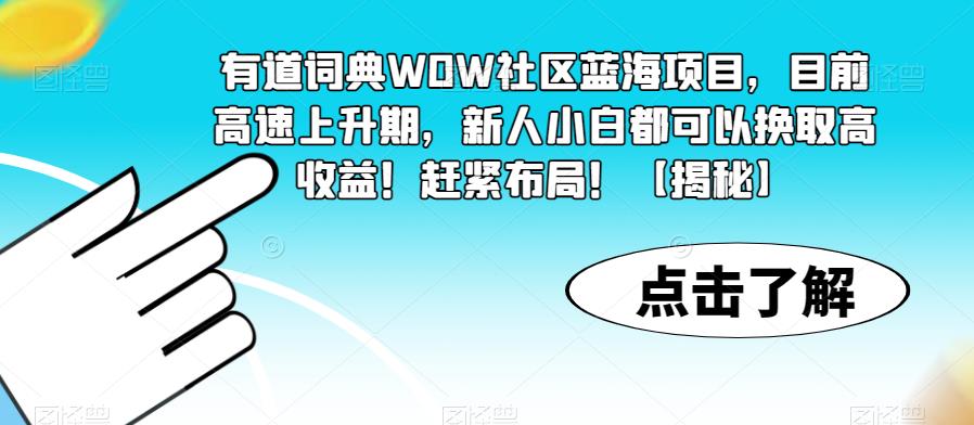 有道词典WOW社区蓝海项目，目前高速上升期，新人小白都可以换取高收益！赶紧布局！【揭秘】_微雨项目网