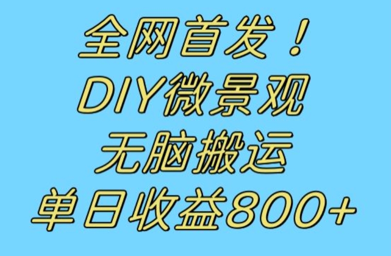 全网首发冷门赛道！DIY微景观，无脑搬运视频，日收益800+【揭秘】_微雨项目网