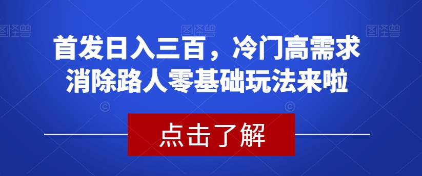 首发日入三百，冷门高需求消除路人零基础玩法来啦【揭秘】_微雨项目网