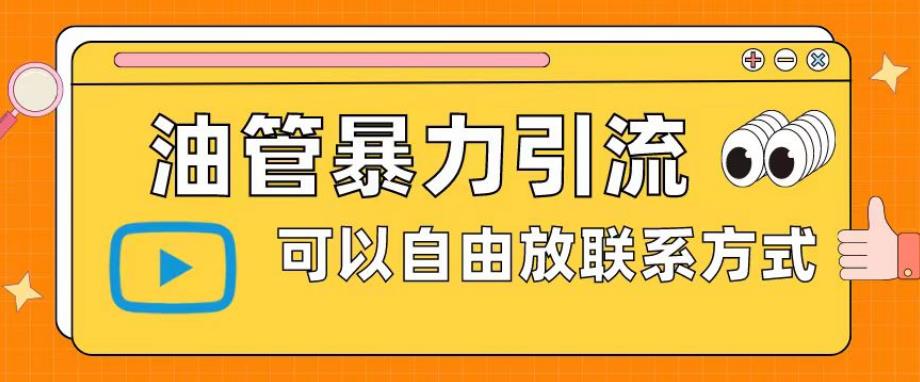 油管暴力引流，可以自由放联系方式【揭秘】_微雨项目网