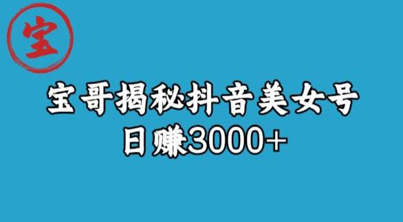 宝哥揭秘抖音美女号玩法，日赚3000+【揭秘】_微雨项目网