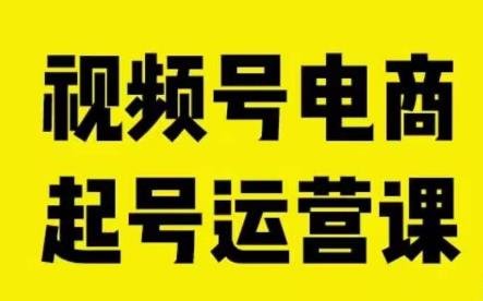 视频号电商起号运营课，教新人如何自然流起号，助力商家0-1突破_微雨项目网