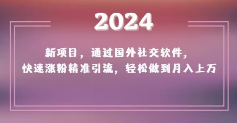 2024新项目，通过国外社交软件，快速涨粉精准引流，轻松做到月入上万【揭秘】_微雨项目网